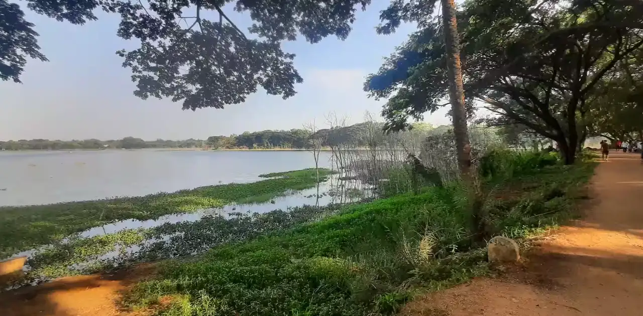 kukkarahalli-lake